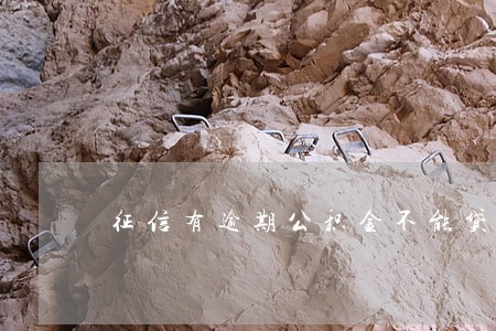 征信有逾期公积金不能贷款吗