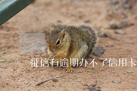 征信有逾期办不了信用卡咋办 征信有逾期办不了信用卡咋办