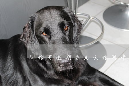 征信有逾期办光大信用卡吗