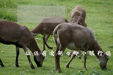 征信有逾期办哪个银行信用卡 征信有逾期办哪个银行信用卡