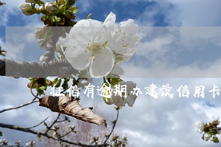 征信有逾期办建设信用卡