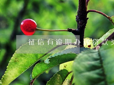 征信有逾期办理贷款买房 征信有逾期办理贷款买房