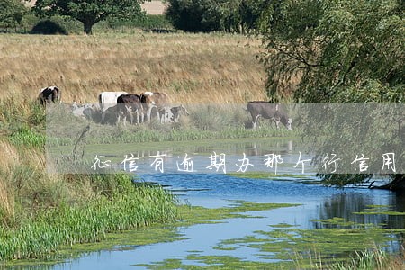 征信有逾期办那个行信用卡 征信有逾期办那个行信用卡