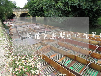 征信有逾期可以信用贷款吗 征信有逾期可以信用贷款吗