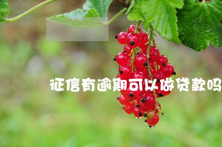 征信有逾期可以做贷款吗 征信有逾期可以做贷款吗