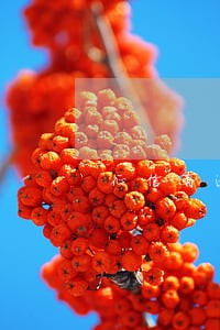 征信有逾期可以贷款买手机吗 征信有逾期可以贷款买手机吗