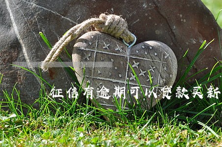 征信有逾期可以贷款买新房吗 征信有逾期可以贷款买新房吗