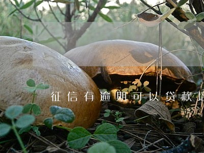 征信有逾期可以贷款培训吗 征信有逾期可以贷款培训吗