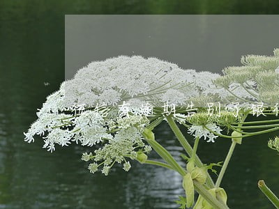 征信有逾期告别了银行贷款