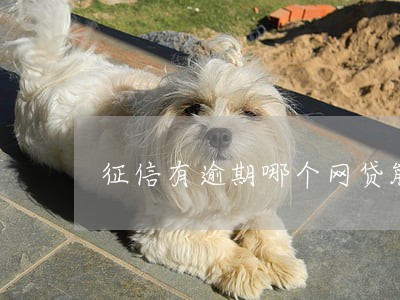 征信有逾期哪个网贷能下款