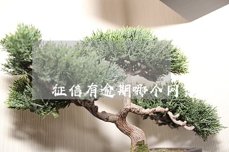 征信有逾期哪个网贷能贷 征信有逾期哪个网贷能贷