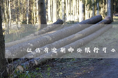 征信有逾期哪些银行可办信贷 征信有逾期哪些银行可办信贷