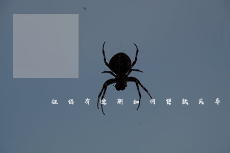 征信有逾期如何贷款买车