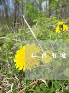 征信有逾期就不能办信用卡了吗 征信有逾期就不能办信用卡了吗