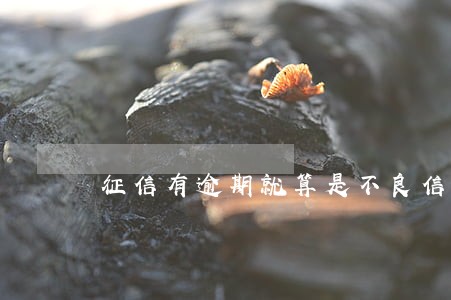 征信有逾期就算是不良信用吗