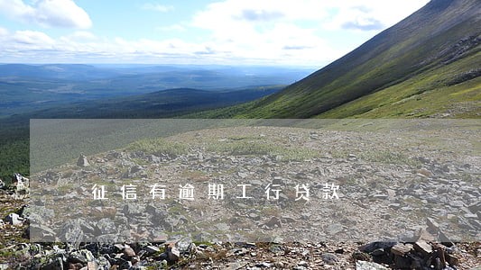 征信有逾期工行贷款 征信有逾期工行贷款