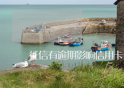 征信有逾期影响信用卡分期吗 征信有逾期影响信用卡分期吗