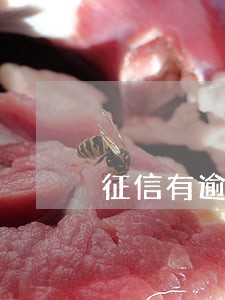 征信有逾期怎么抵押贷款 征信有逾期怎么抵押贷款