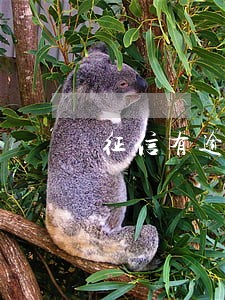 征信有逾期怎么给信用卡提额