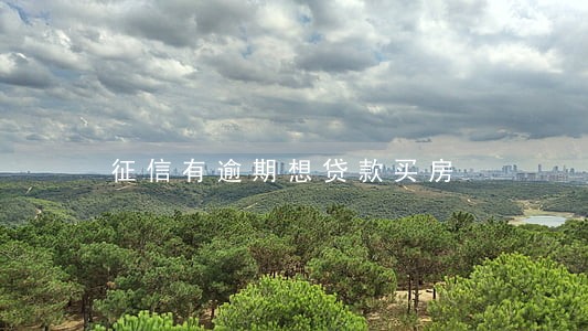 征信有逾期想贷款买房 征信有逾期想贷款买房