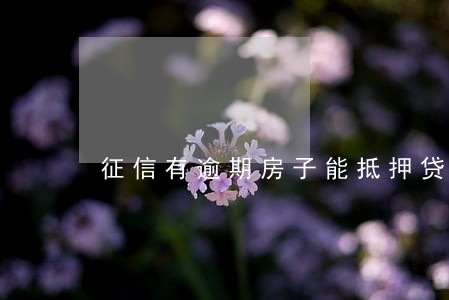 征信有逾期房子能抵押贷款吗 征信有逾期房子能抵押贷款吗