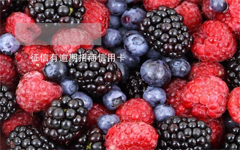 征信有逾期招商信用卡