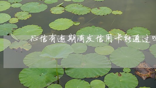 征信有逾期浦发信用卡能通过吗 征信有逾期浦发信用卡能通过吗