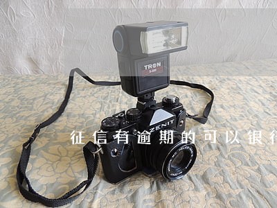 征信有逾期的可以银行贷款吗 征信有逾期的可以银行贷款吗