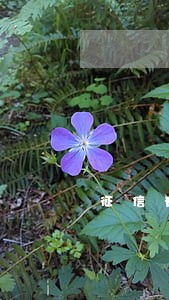 征信有逾期的还可以贷款吗 征信有逾期的还可以贷款吗