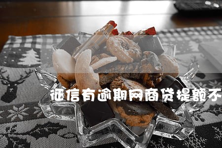 征信有逾期网商贷提额不敢点 征信有逾期网商贷提额不敢点