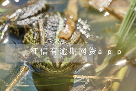 征信有逾期网贷app 征信有逾期网贷app