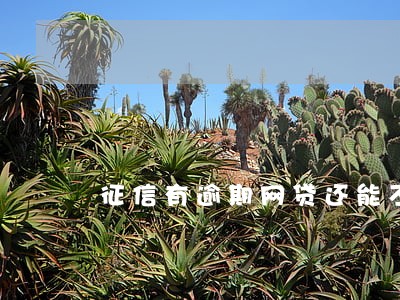 征信有逾期网贷还能不能下款 征信有逾期网贷还能不能下款