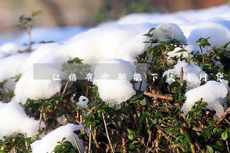 征信有逾期能下款的网贷 征信有逾期能下款的网贷