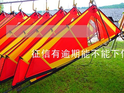 征信有逾期能不能下信用卡 征信有逾期能不能下信用卡