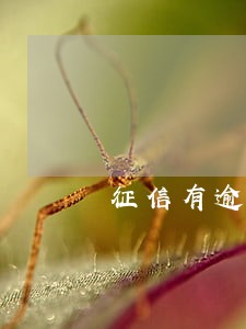 征信有逾期能买房贷款吗 征信有逾期能买房贷款吗