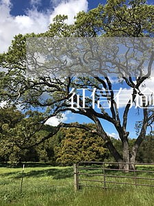征信有逾期能借款网贷 征信有逾期能借款网贷