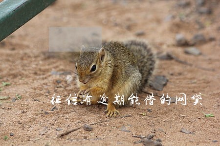 征信有逾期能借的网贷 征信有逾期能借的网贷