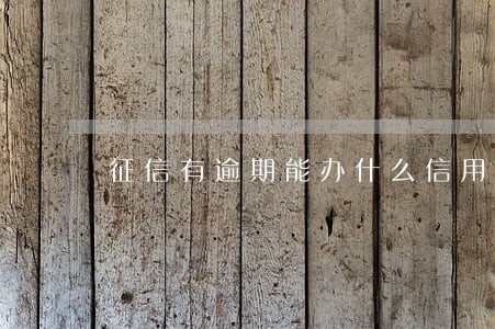 征信有逾期能办什么信用卡 征信有逾期能办什么信用卡