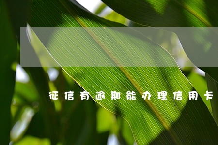 征信有逾期能办理信用卡么 征信有逾期能办理信用卡么