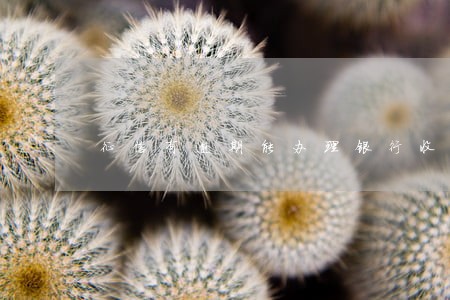 征信有逾期能办理银行收款码吗 征信有逾期能办理银行收款码吗