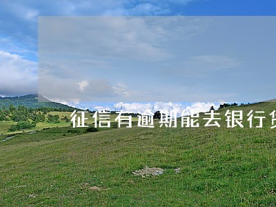 征信有逾期能去银行贷款吗 征信有逾期能去银行贷款吗