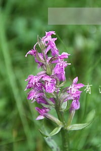 征信有逾期能拿房本去贷款吗 征信有逾期能拿房本去贷款吗