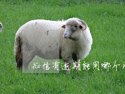 征信有逾期能用哪个网贷 征信有逾期能用哪个网贷