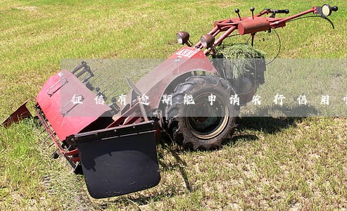 征信有逾期能申请农行信用币吗 征信有逾期能申请农行信用币吗