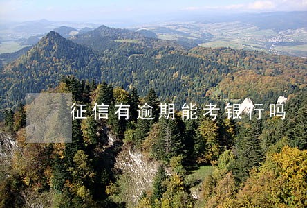 征信有逾期能考银行吗 征信有逾期能考银行吗