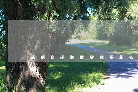 征信有逾期能贷款买车么 征信有逾期能贷款买车么