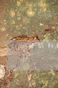 征信有逾期融e借 征信有逾期融e借
