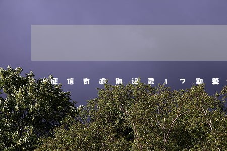 征信有逾期记录17期算呆账吗 征信有逾期记录17期算呆账吗