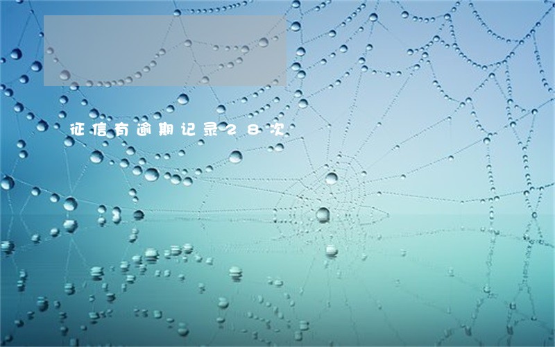 征信有逾期记录28次