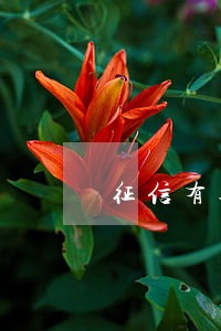 征信有逾期记录不能办信用卡了吗